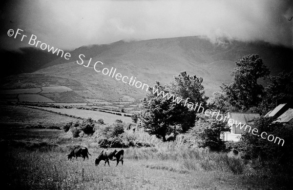 COOMERAGH MOUNTAINS FROM CLONEACROSS ON DUNGARVAN CARRICK ROAD